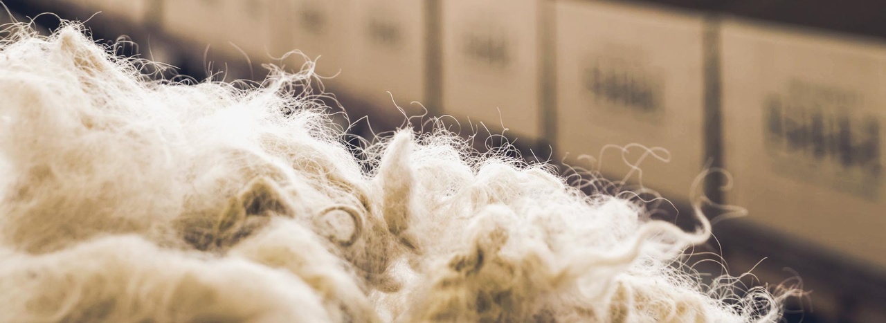 Close-up image of raw wool with soft focus on stacked boxes labeled in the background.