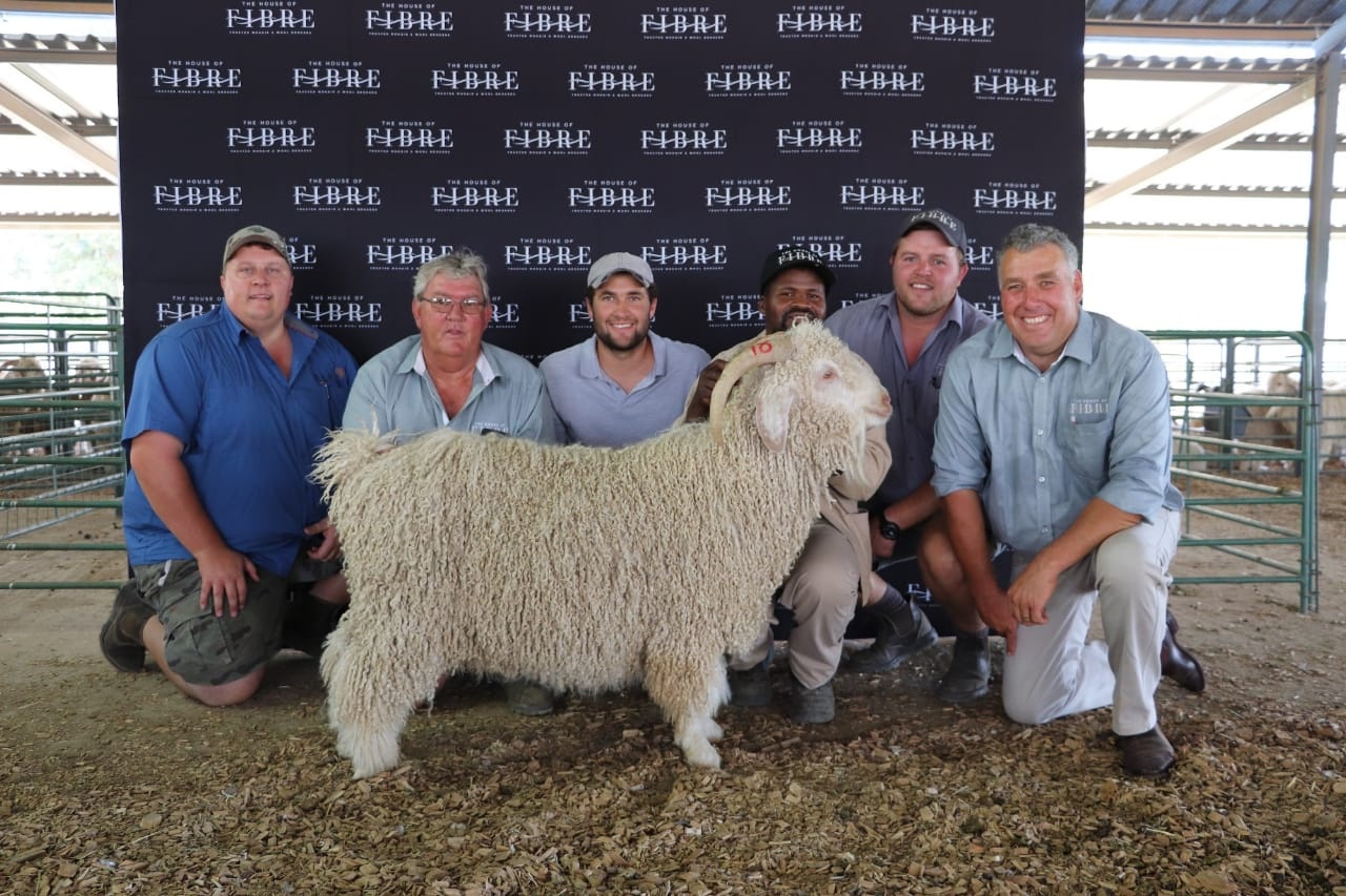 Group of five individuals smiling at the camera, kneeling and standing around a large woolly Angora ram at a livestock show. The background features a sign with multiple logos of The House of Fibre.