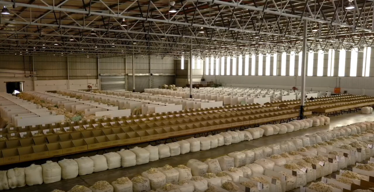 Interior of a large warehouse filled with rows of bags filled with wool cuttings.