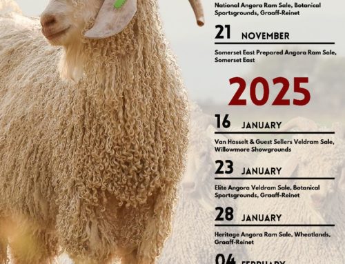 Upcoming Ram Auction Season